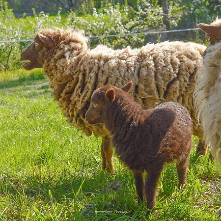 Agriturismo Vezzano Chiusi della Verna Kültér fotó