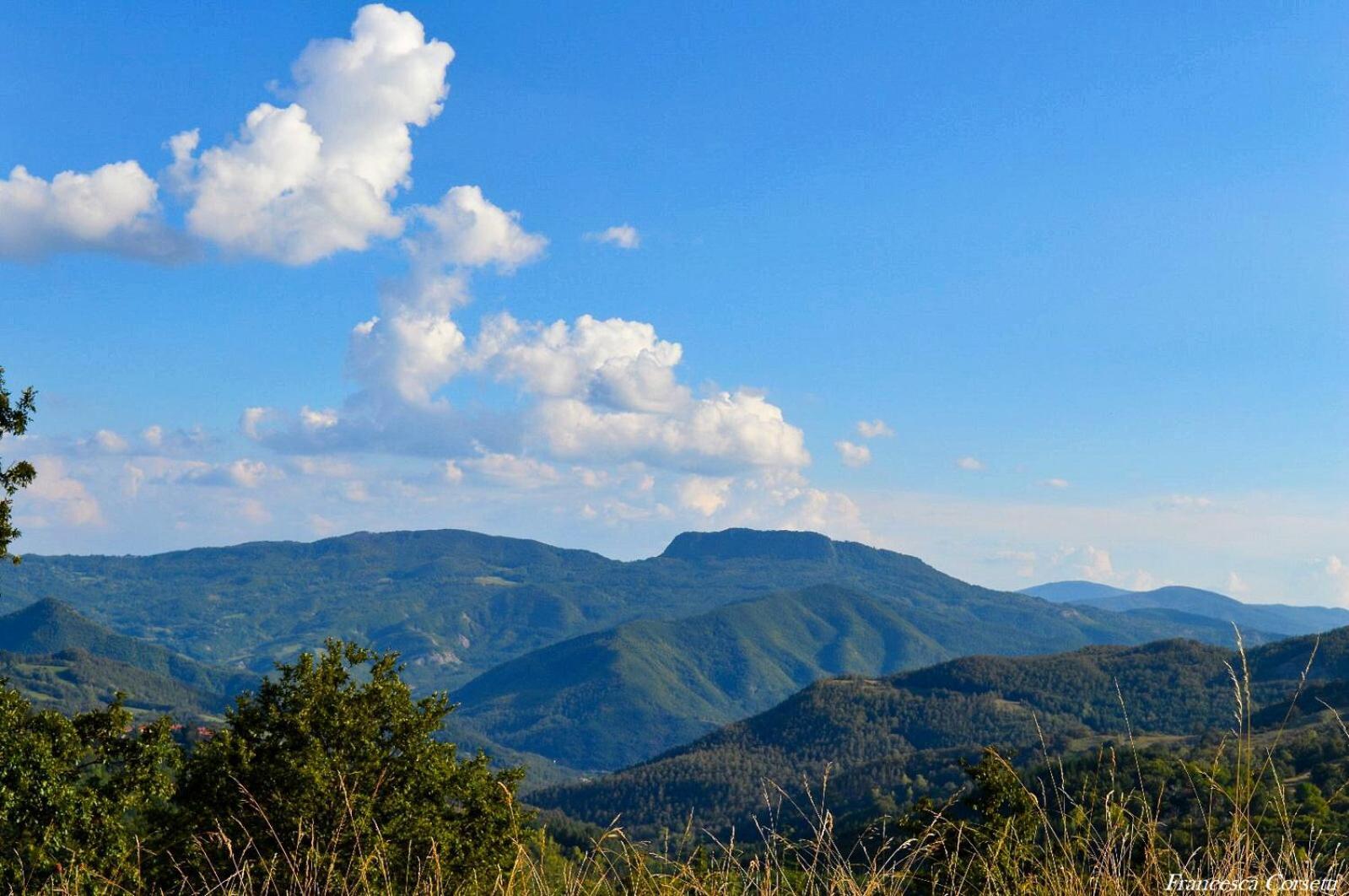 Agriturismo Vezzano Chiusi della Verna Kültér fotó