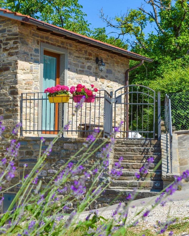 Agriturismo Vezzano Chiusi della Verna Kültér fotó
