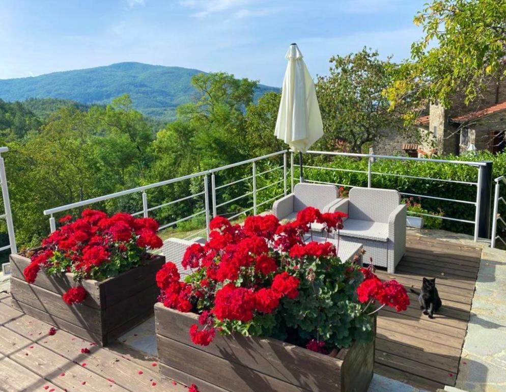 Agriturismo Vezzano Chiusi della Verna Kültér fotó